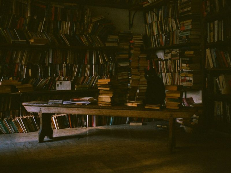 Books lined up on a wooden shelf