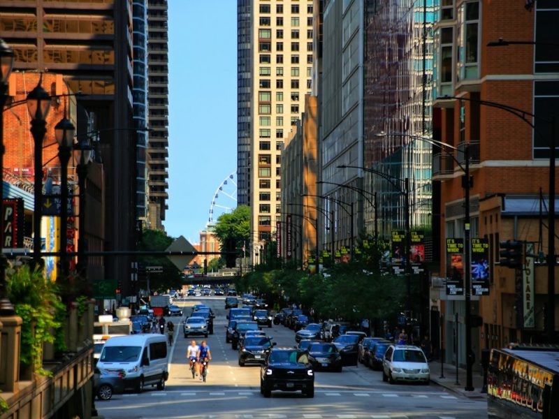 A tree-lined residential street in Chicago