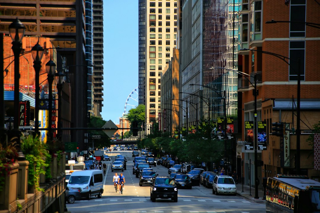 A residential street in Chicago in summer