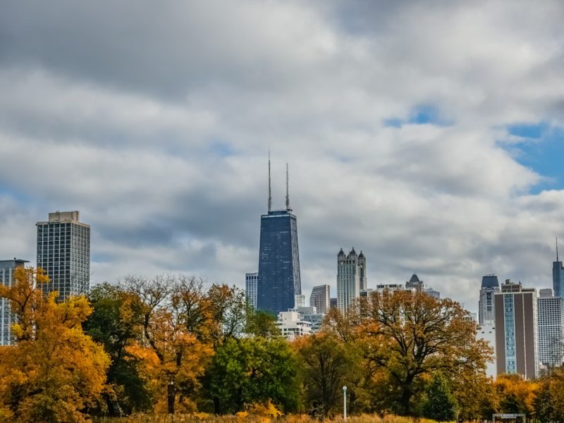 Chicago skyline seen across the trees of Lincoln Park
