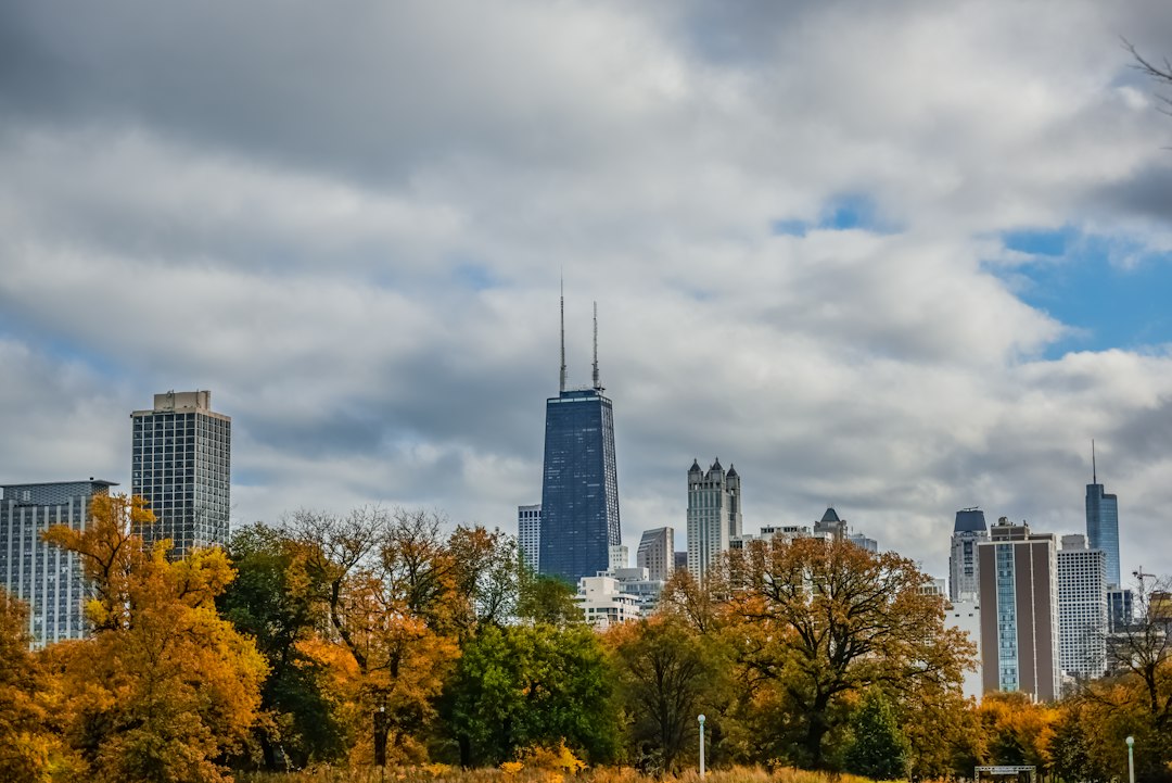 Chicago skyline seen across the trees of Lincoln Park