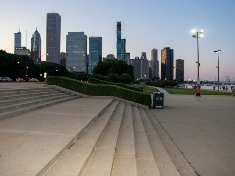 A city park with the skyline in the background