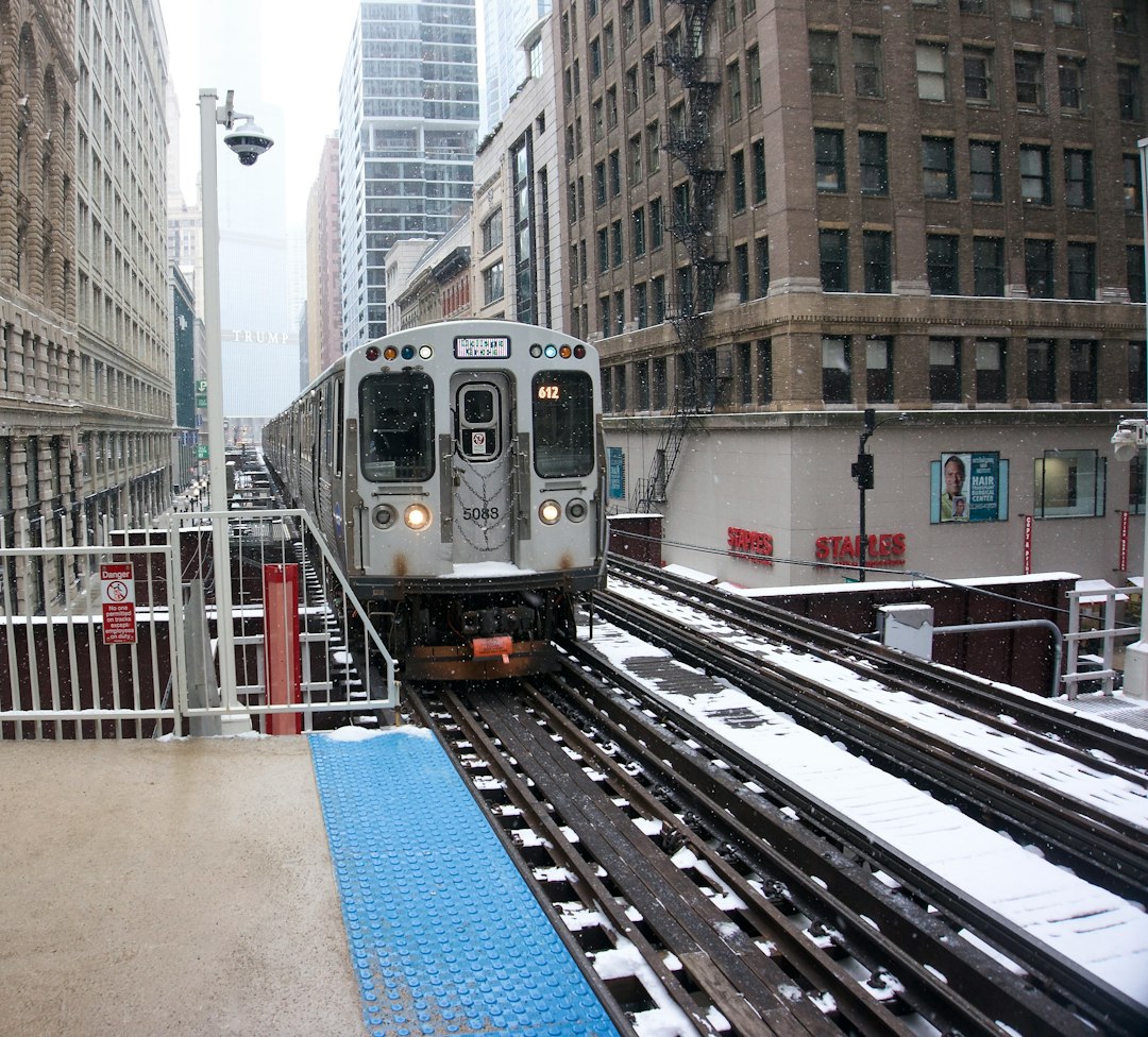 An L train pulling into the Washington/Wabash station on the Loop