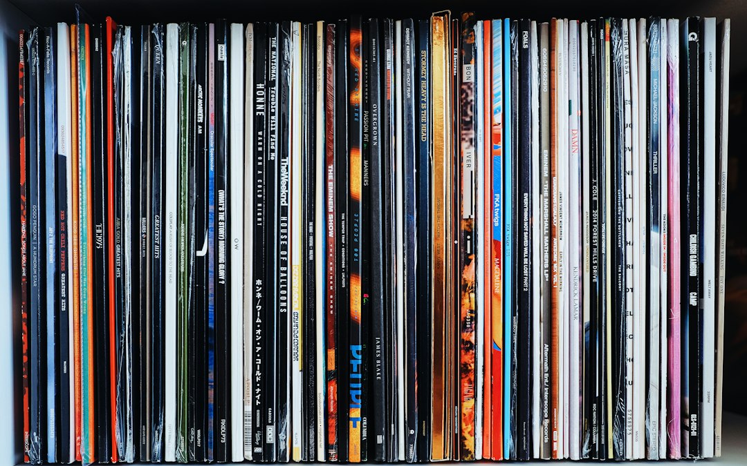 A collection of vinyl records lined up on a shelf